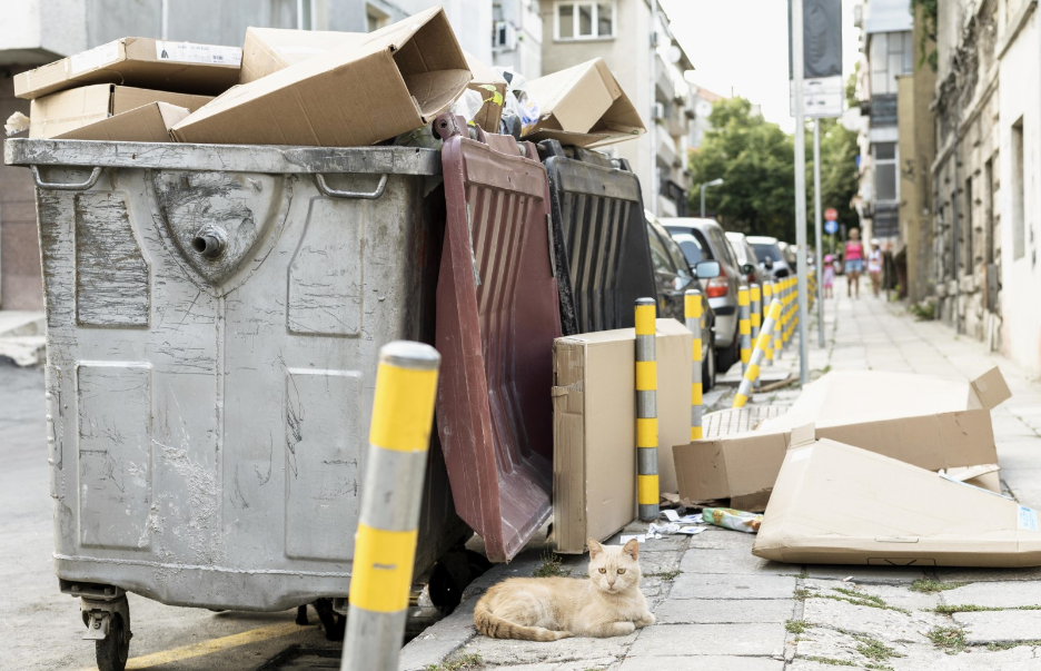 Residential Dumpster Rental